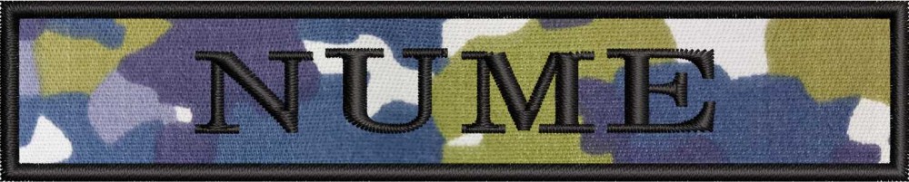 ECUSON NOMINAL FORTE AERIENE | ECUSON NOMINAL AVIATIE - COMBAT